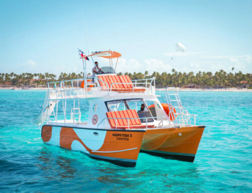 How Happy Fish Catamarans Found a New Audience with Viator Accelerate